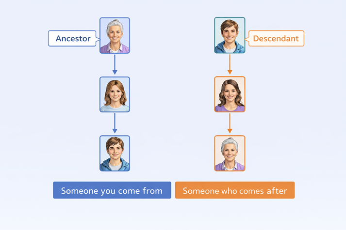 Ancestor and descendant family tree diagram